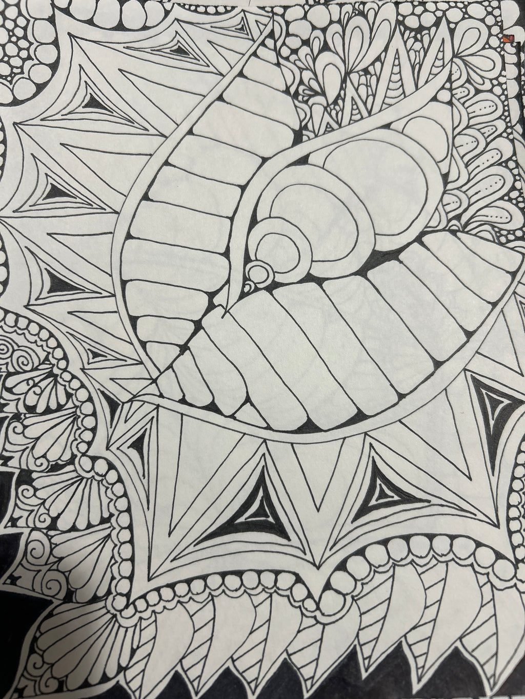 The wonders of me